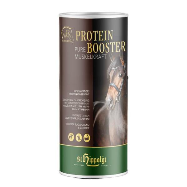 WES Protein Booster 750g